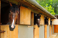 free Tidenham Chase stable construction quotes